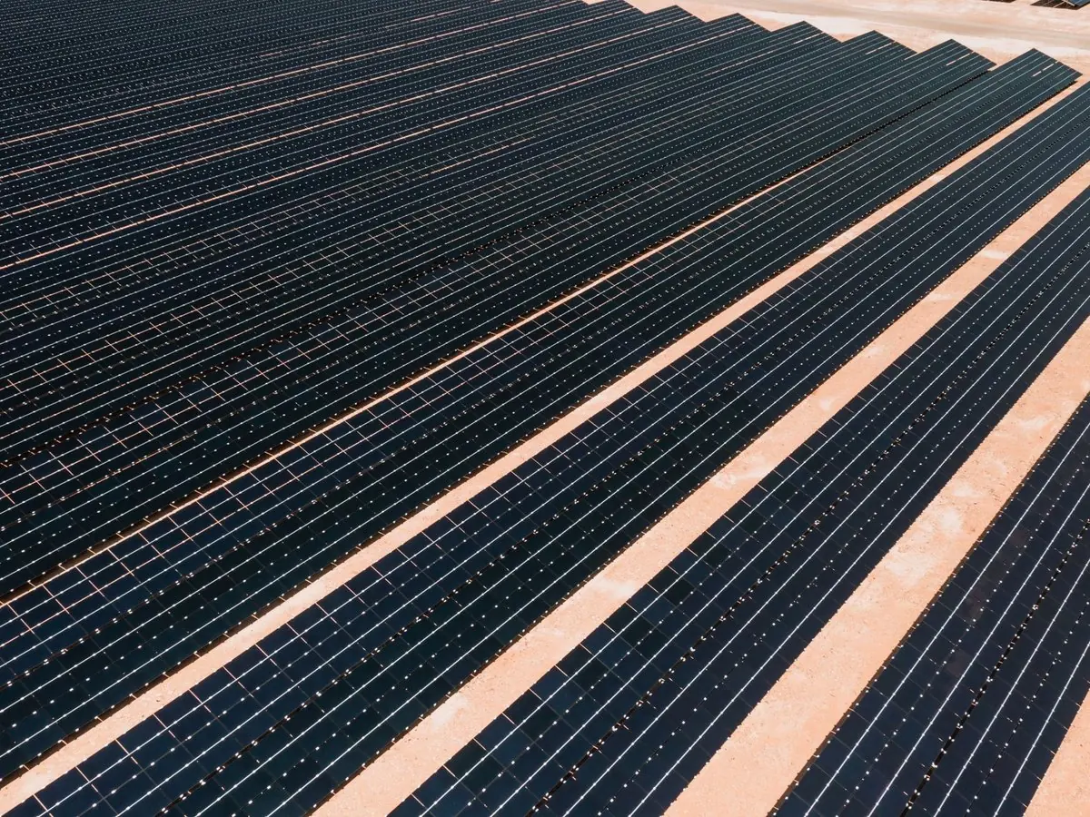 Hileras de paneles de una planta solar